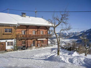 Troadstadl Windaublick Westendorf